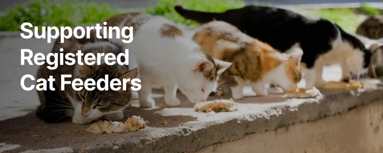 header mob Cat feeders