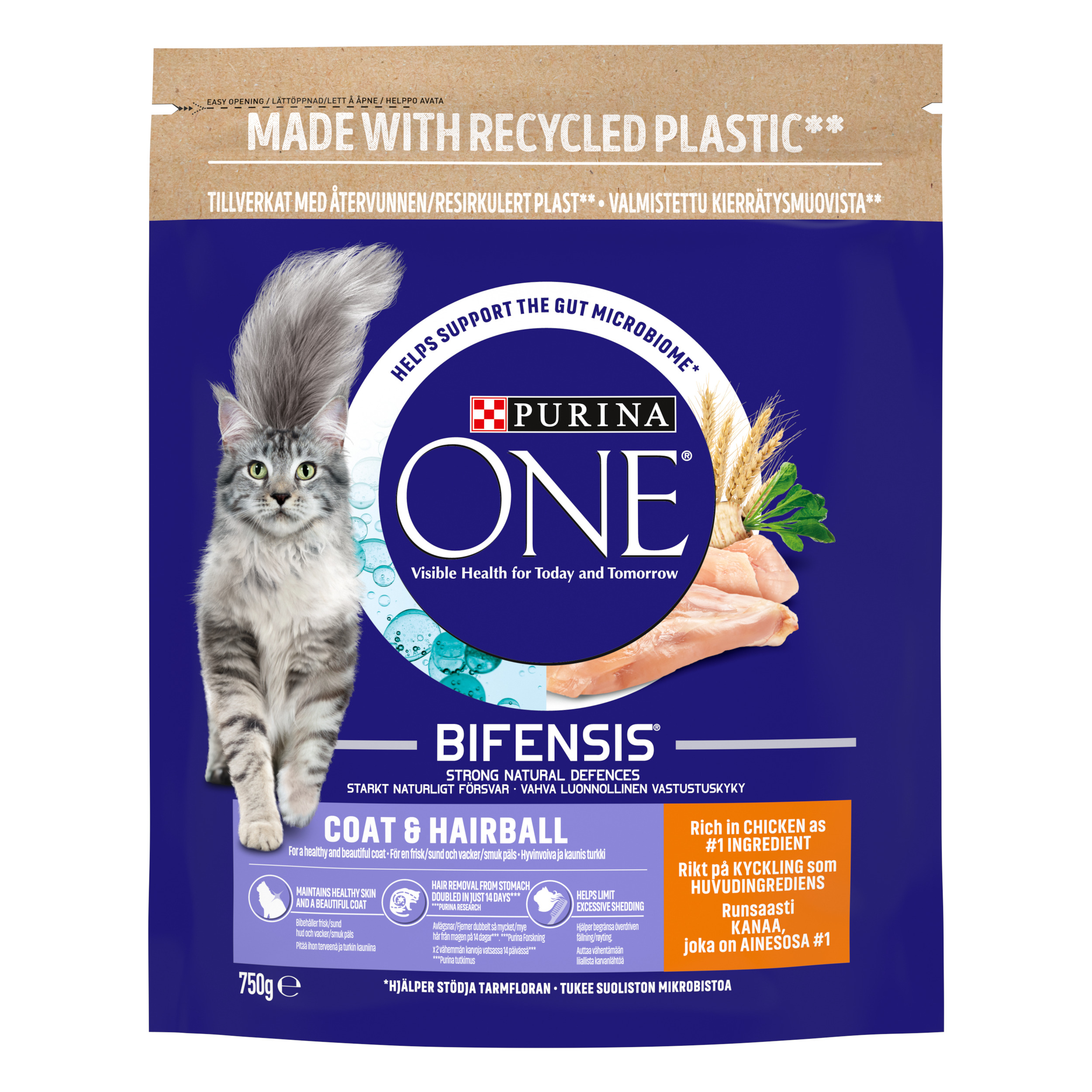 Purina® ONE® Coat & Hairball Adult Formula Adult Cat Chicken 750g