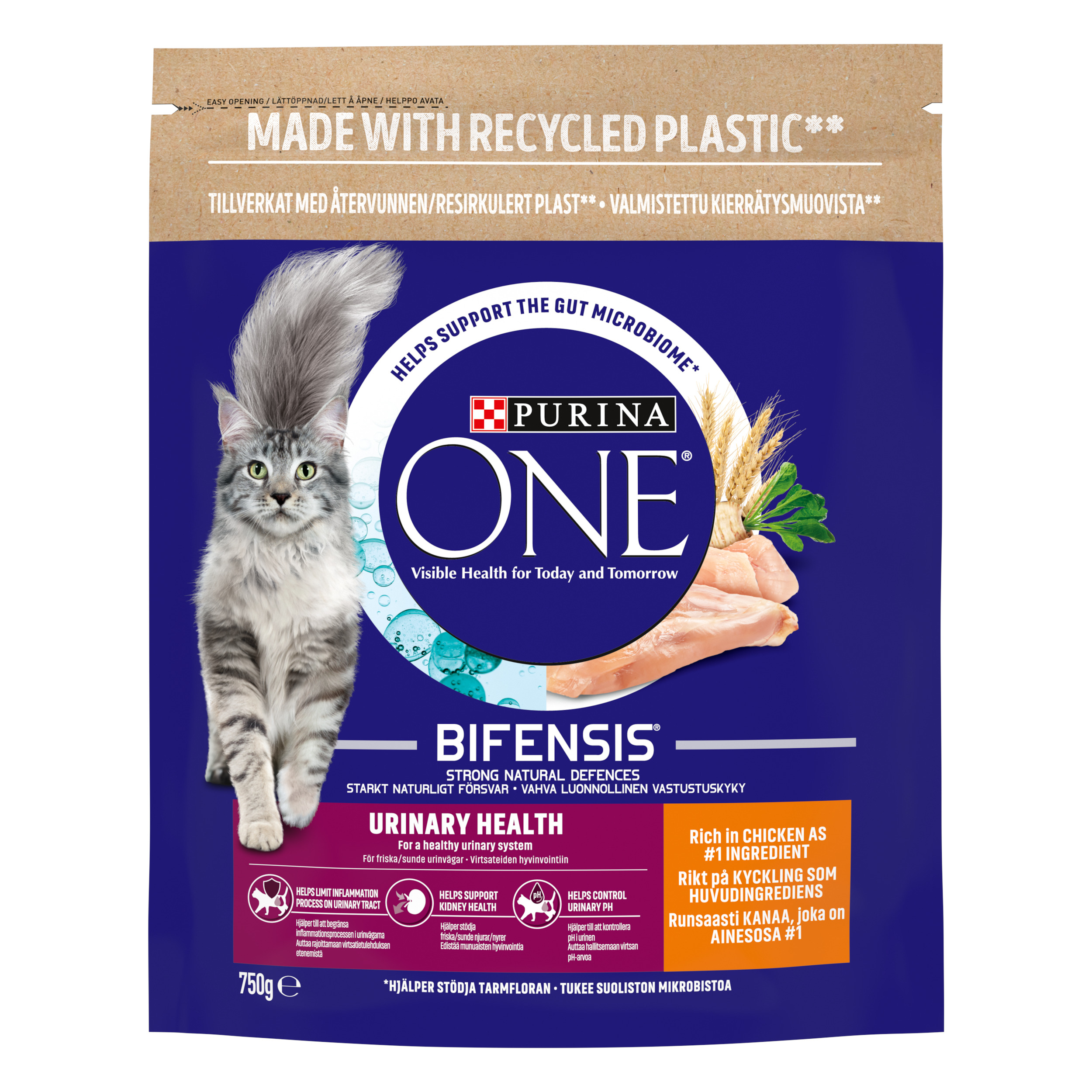 Purina® ONE® Urinary Care Adult Formula Adult Cat Chicken 750g