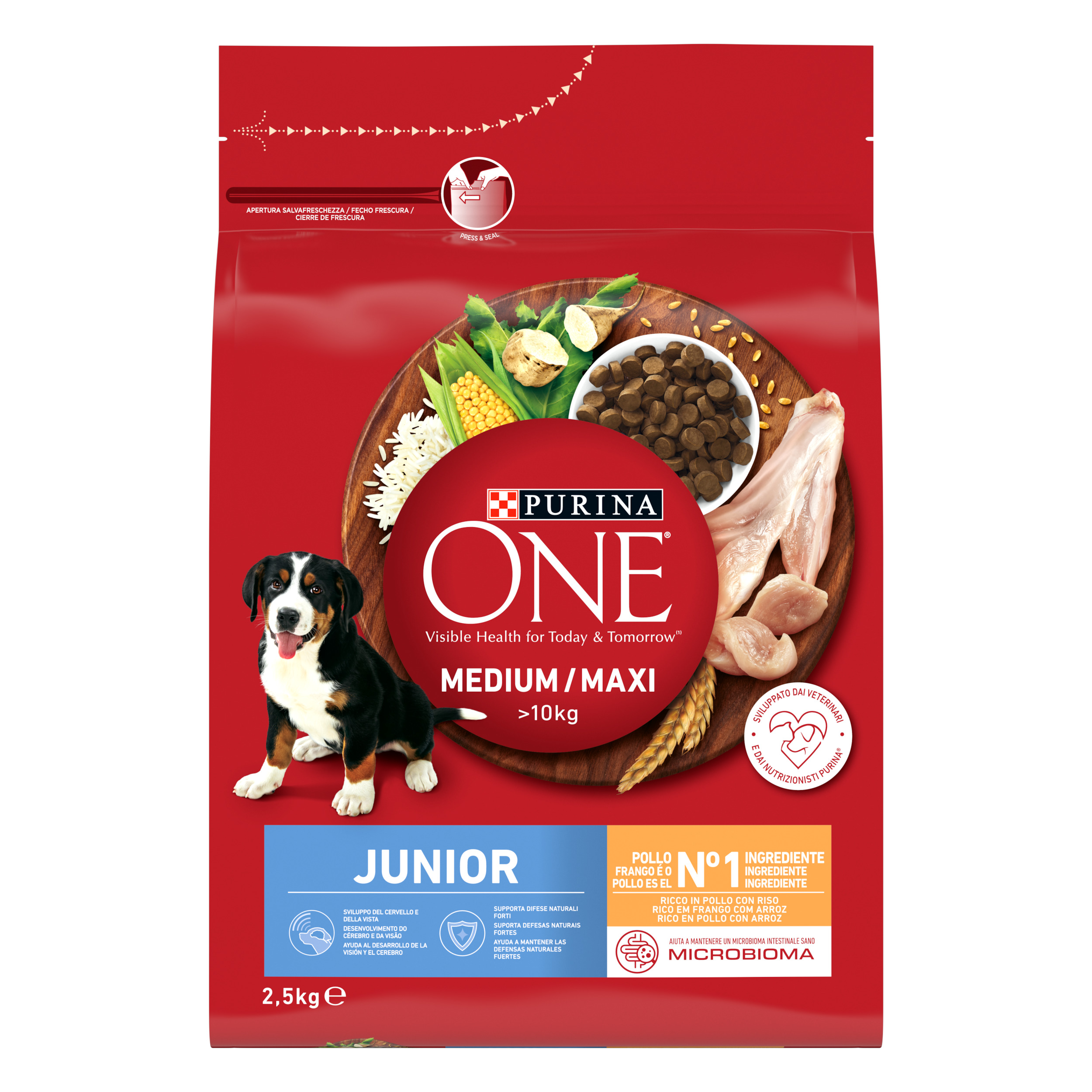 Purina ONE Chicken & Rice Dry Food for Medium & Maxi Junior Dogs 2.5kg