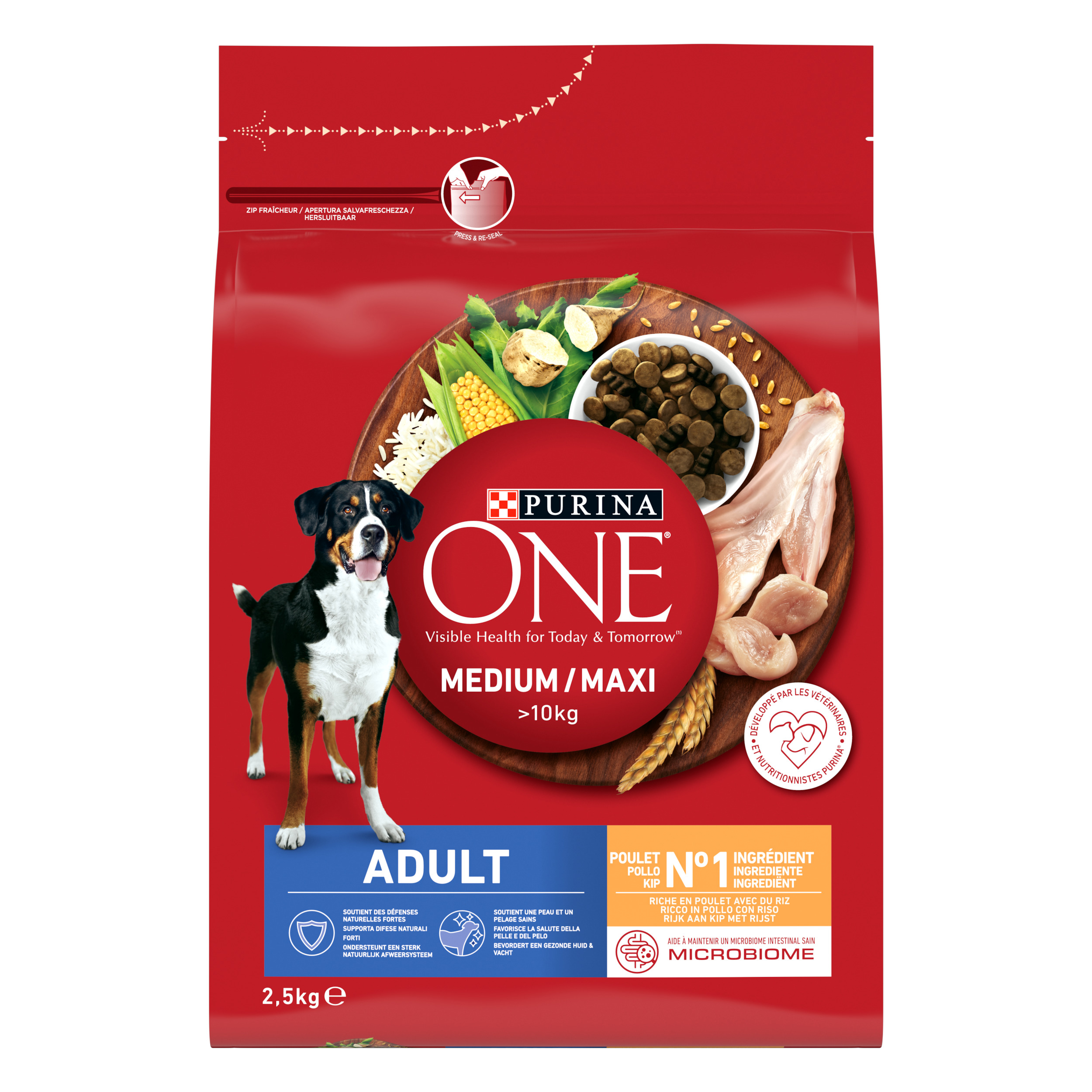 Purina ONE Chicken & Rice Dry Food for Medium & Maxi Adult Dogs 2.5kg