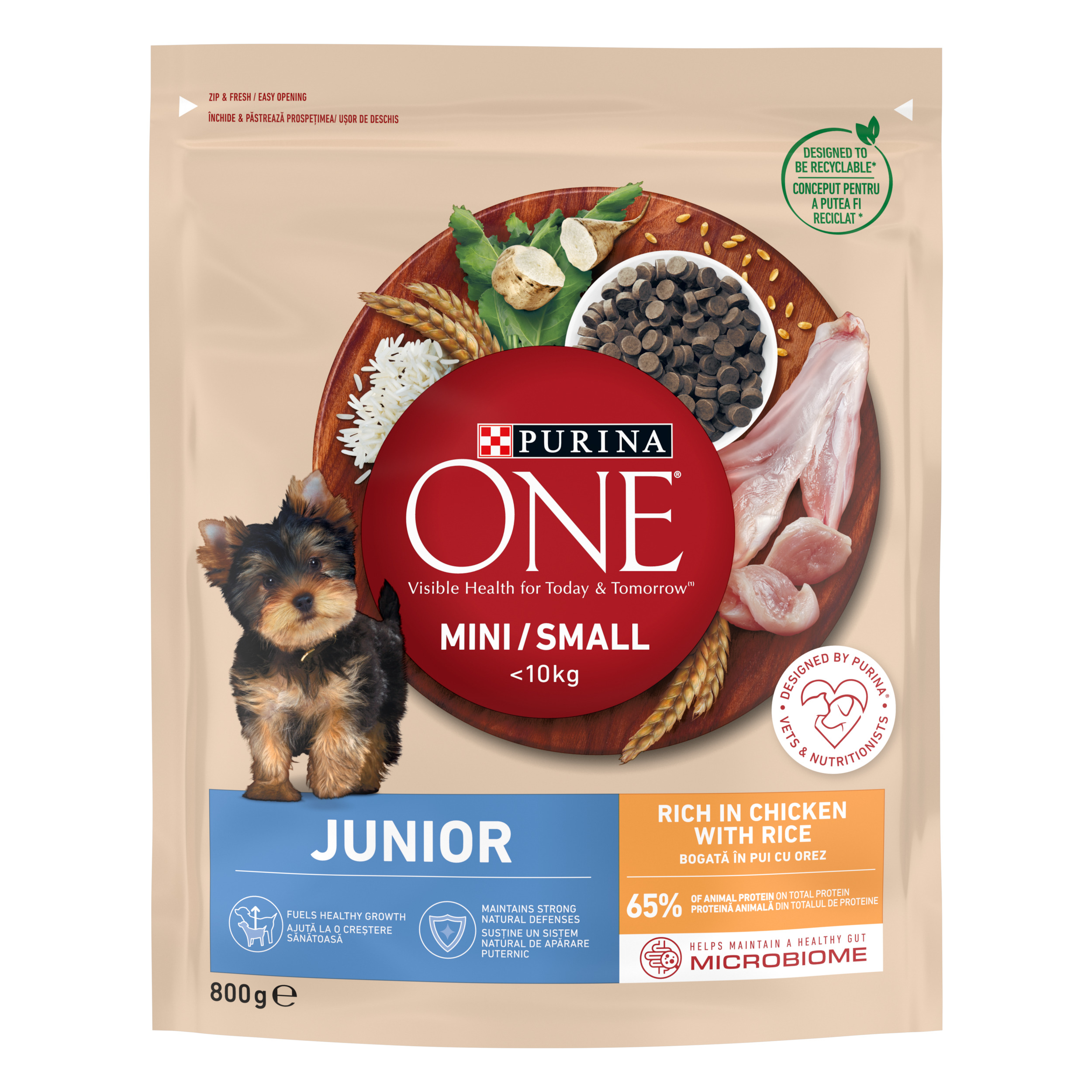 Purina ONE Chicken & Rice Dry Food for Mini & Small Junior  Dogs 800g